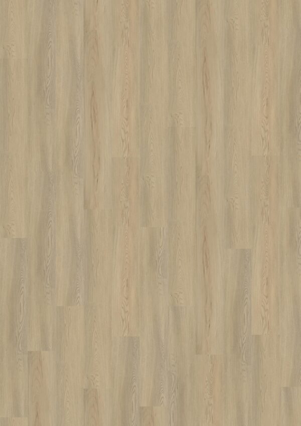 TWG Designline Connect 3.0 Wood XL Calm Ash Beige – Bild 2