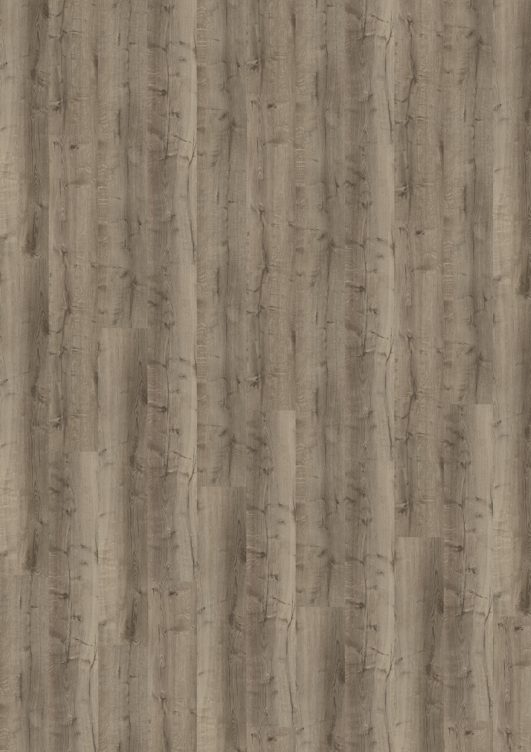 TWG Designline Connect 3.0 Wood XL Comfort Oak Taupe – Bild 2