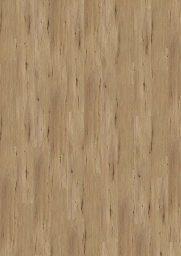 TWG Designline Connect 3.0 Wood XL Country Oak Nature – Bild 2