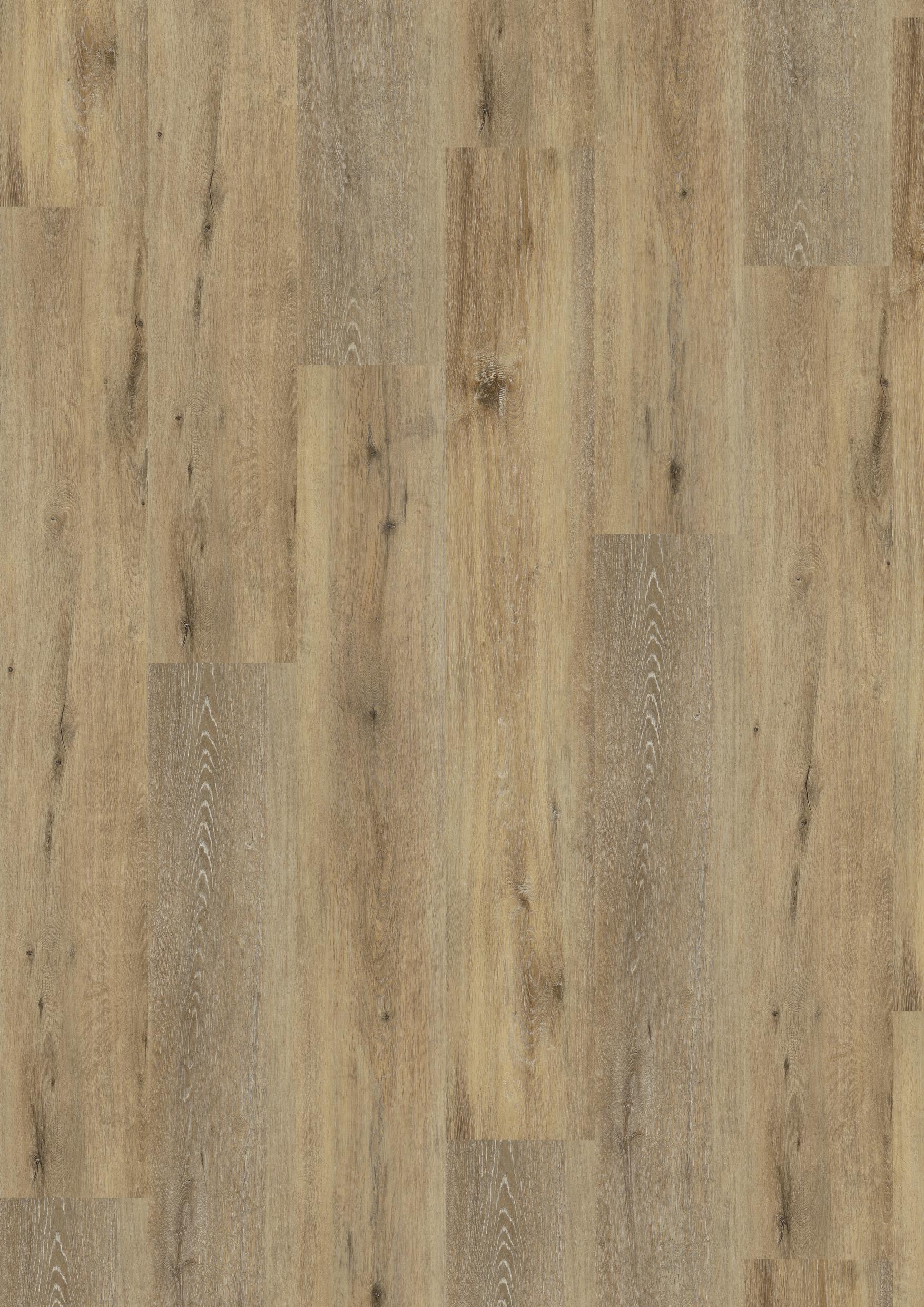 TWG Designline Connect 3.0 Wood XL Joy Oak Tender – Bild 2