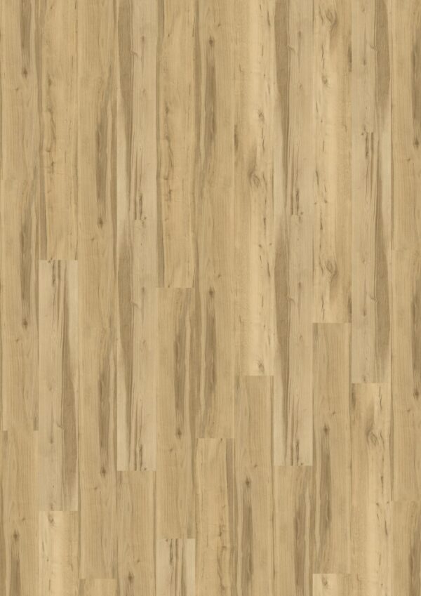 TWG Designline Connect 3.0 Wood XL Shadow Oak Nature – Bild 2