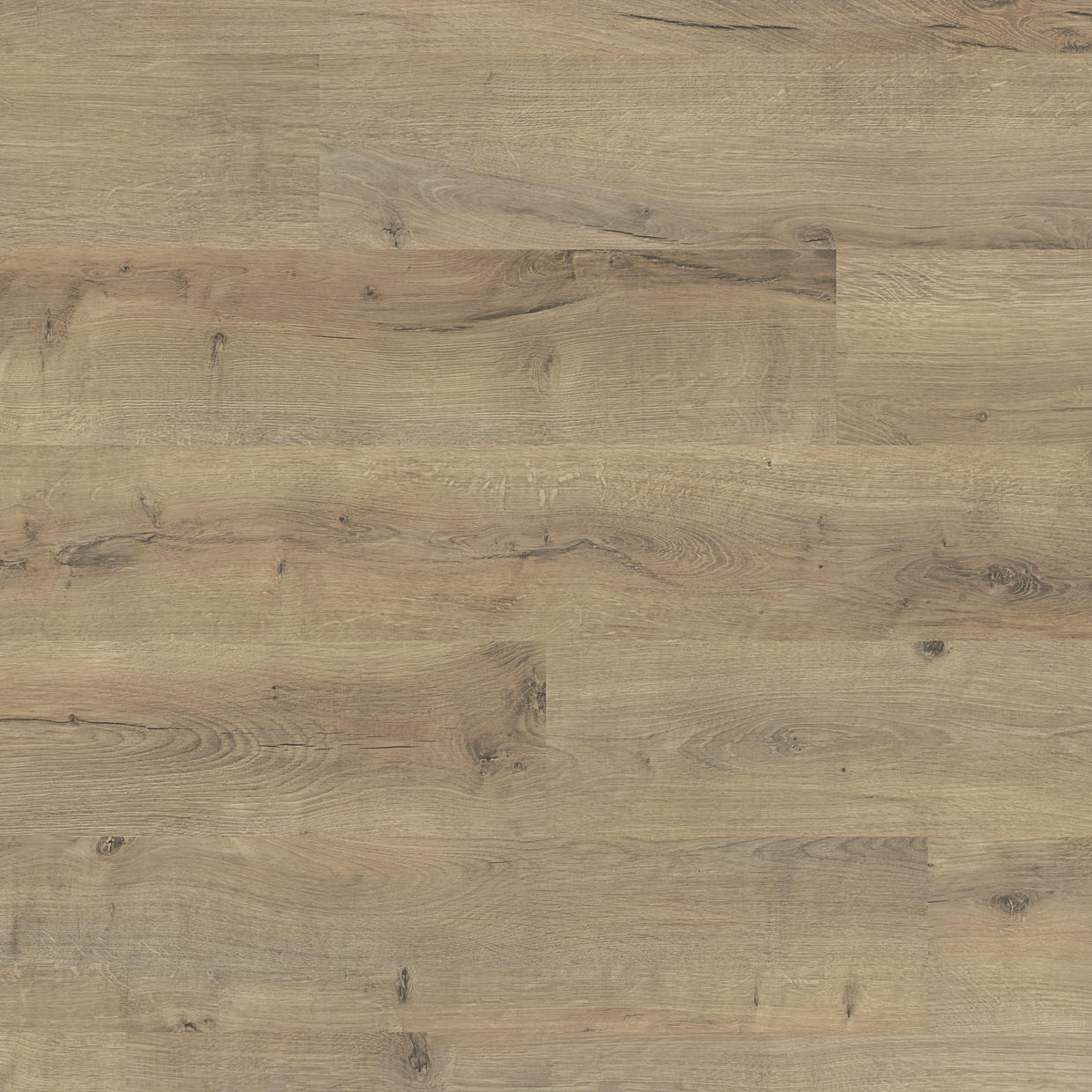 TWG Laminat Easy-Clic Silent Eiche Muscat Rustico 7540