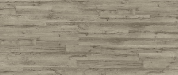 TWG Laminat Easy-Clic Silent Eiche Vintage grau 7977