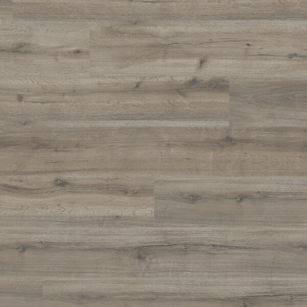 TWG Laminat Easy-Clic Silent Eiche grey 7782
