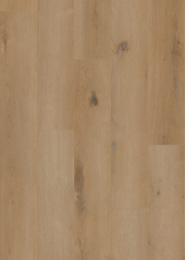 TWG Vinylboden Authentics Moraine 50 LVRE 113