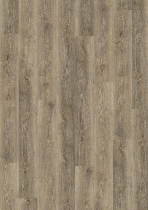 TWG Vinylboden Titan One 030 Gluedown Authentic Oak Natural