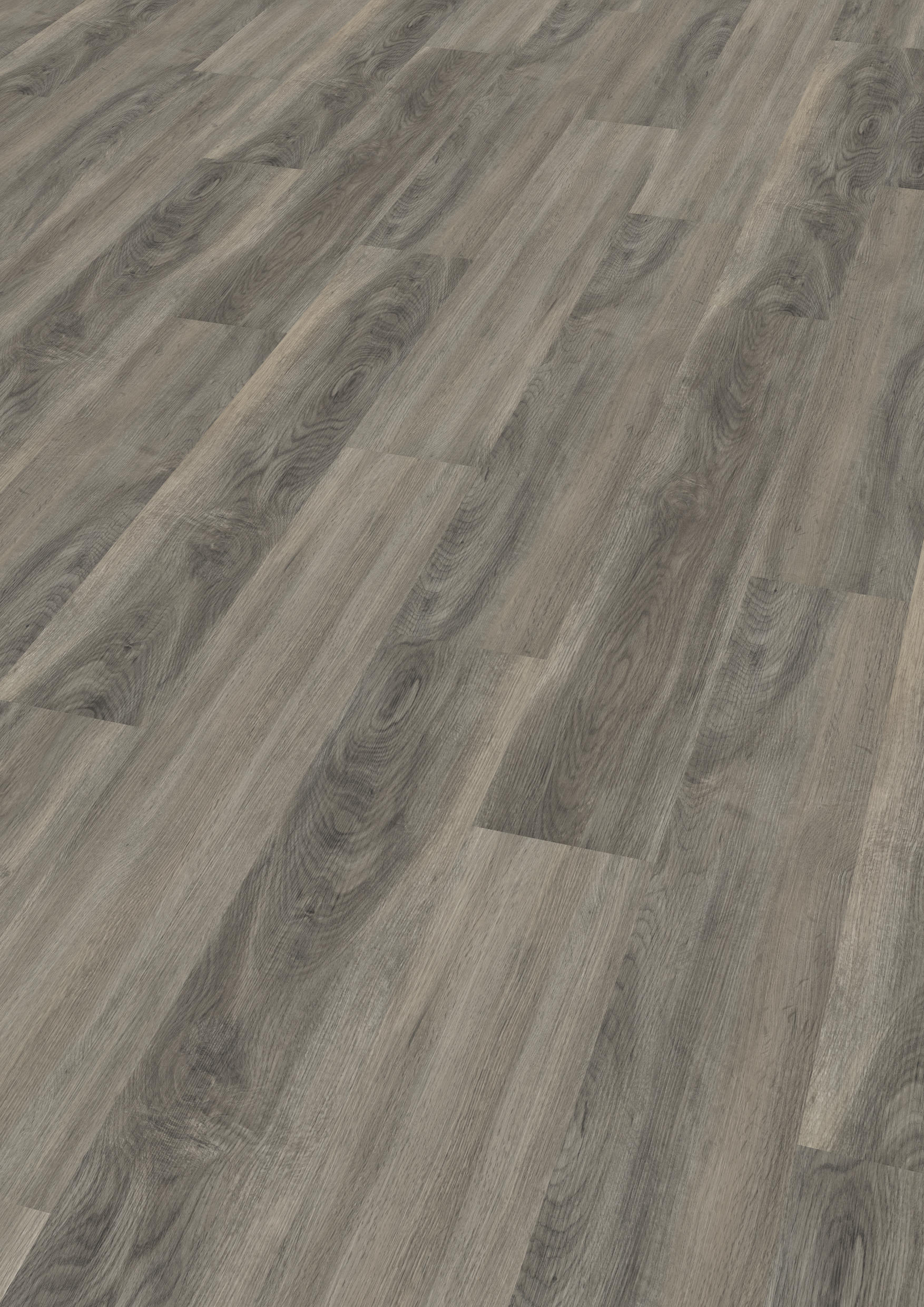 TWG Vinylboden Titan One 030 Gluedown Dockside Oak Natural Light – Bild 2