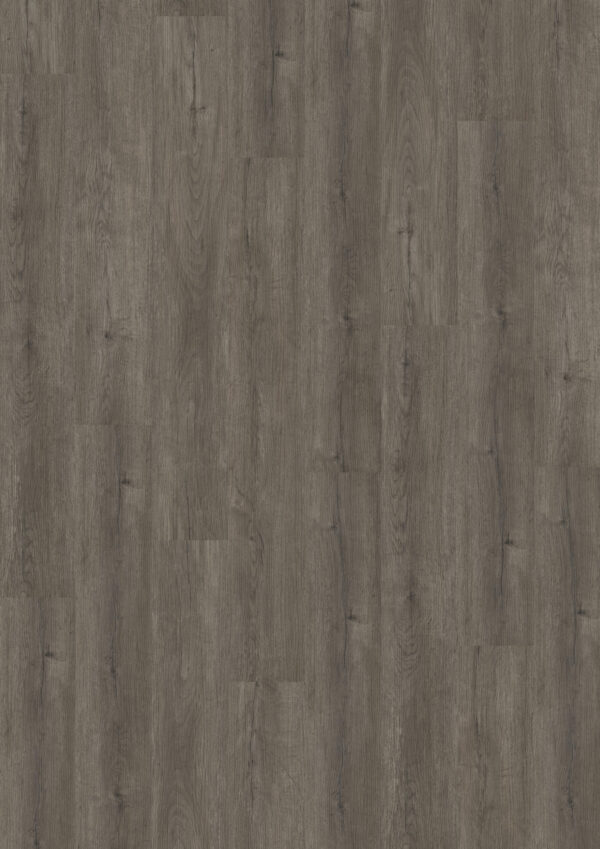 TWG Vinylboden Titan One 030 Gluedown Manor Oak Natural Dark