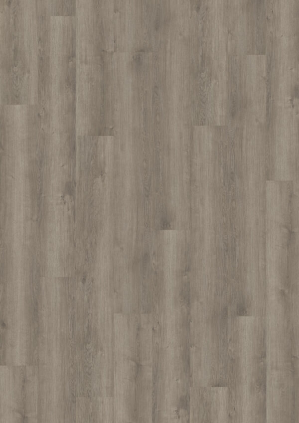 TWG Vinylboden Titan One 030 Gluedown Noble Oak Greige