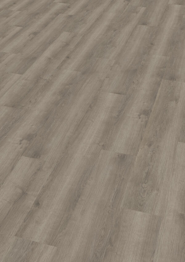 TWG Vinylboden Titan One 030 Gluedown Noble Oak Greige – Bild 2