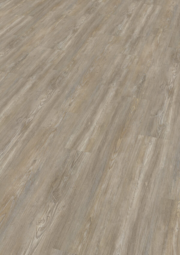 TWG Vinylboden Titan One 030 Gluedown Prestige Oak Natural – Bild 2