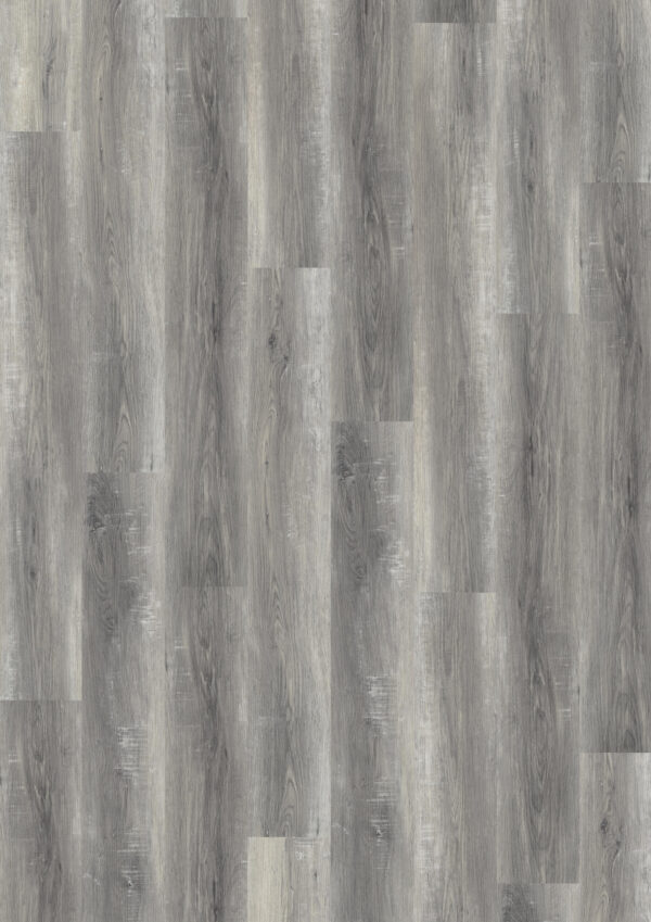 TWG Vinylboden Titan One 030 Gluedown Pure Oak Grey