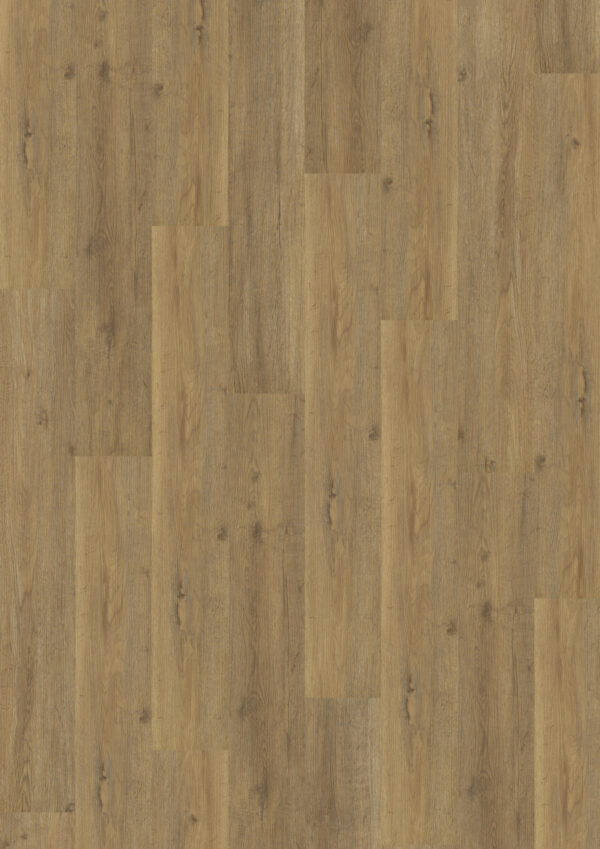 TWG Vinylboden Titan One 030 Gluedown Royal Oak Natural