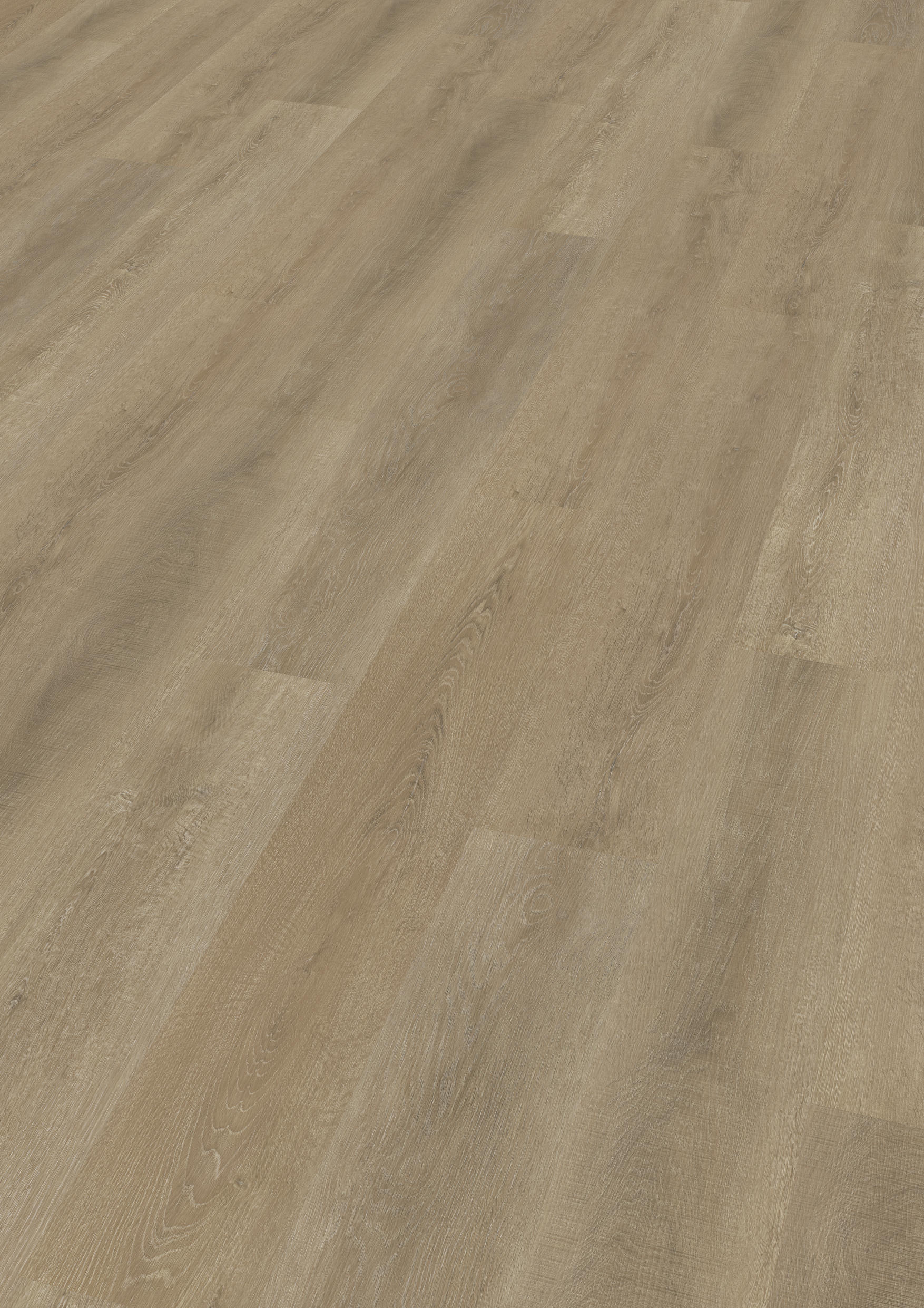 TWG Vinylboden Titan One 030 Gluedown Sawcut Oak Dark – Bild 2