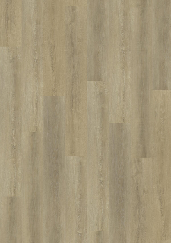 TWG Vinylboden Titan One 030 Gluedown Sawcut Oak Natural