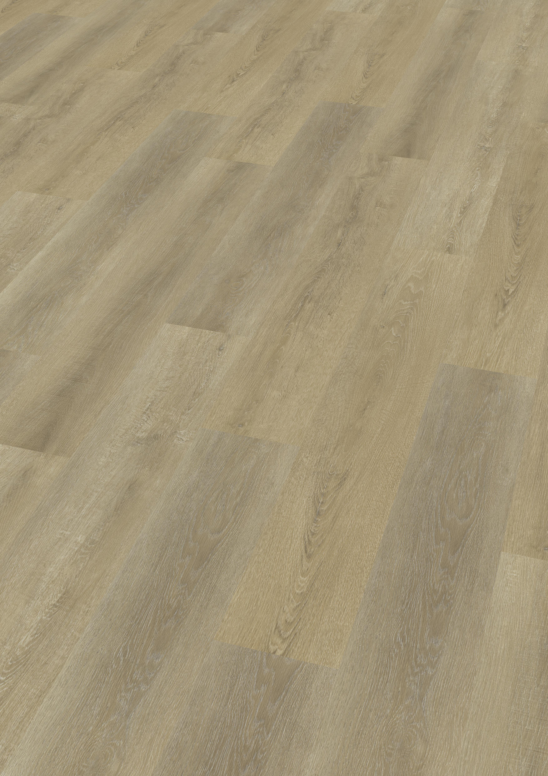 TWG Vinylboden Titan One 030 Gluedown Sawcut Oak Natural – Bild 2