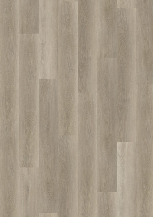 TWG Vinylboden Titan One 030 Gluedown Soft Oak Greige