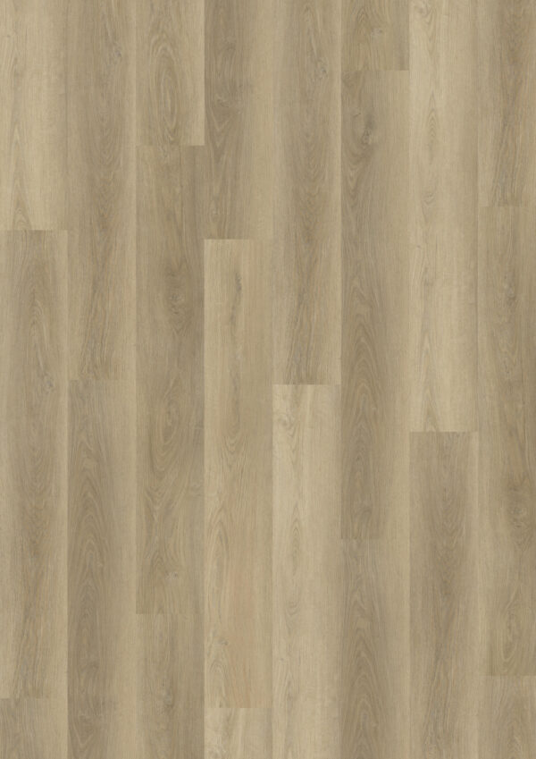 TWG Vinylboden Titan One 030 Gluedown Soft Oak Natural