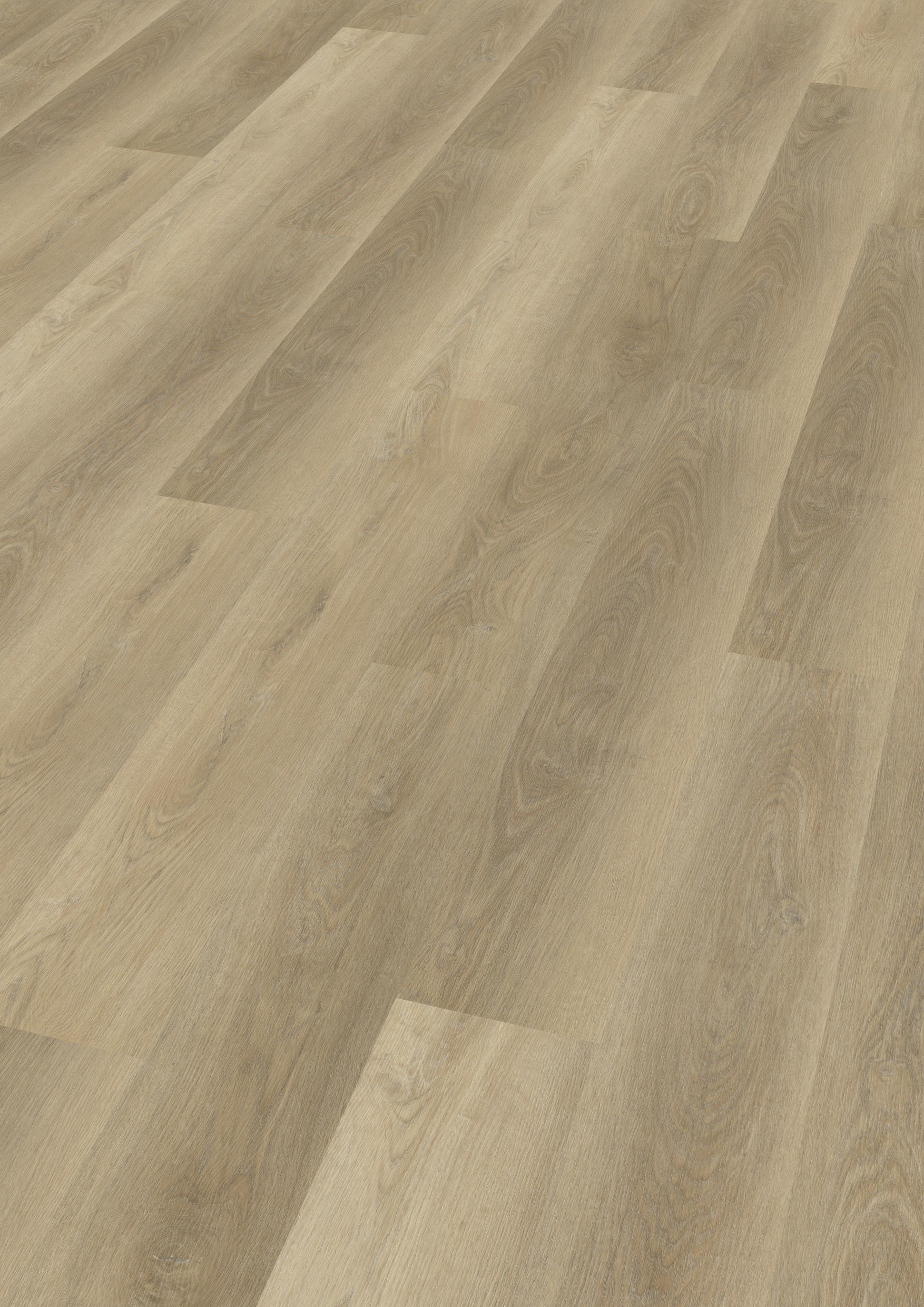 TWG Vinylboden Titan One 030 Gluedown Soft Oak Natural – Bild 2