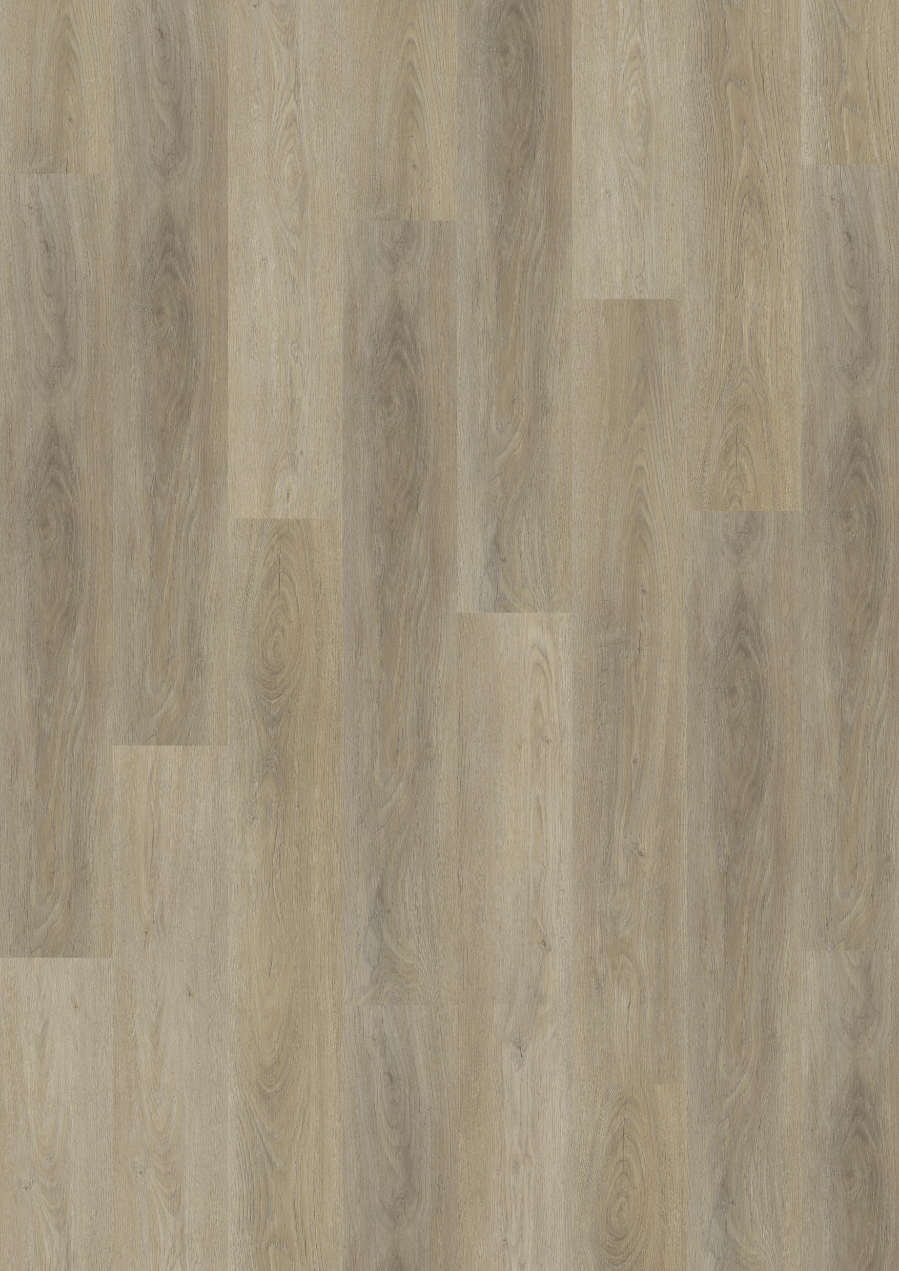TWG Vinylboden Titan One 030 Rigid - Click French Oak Natural