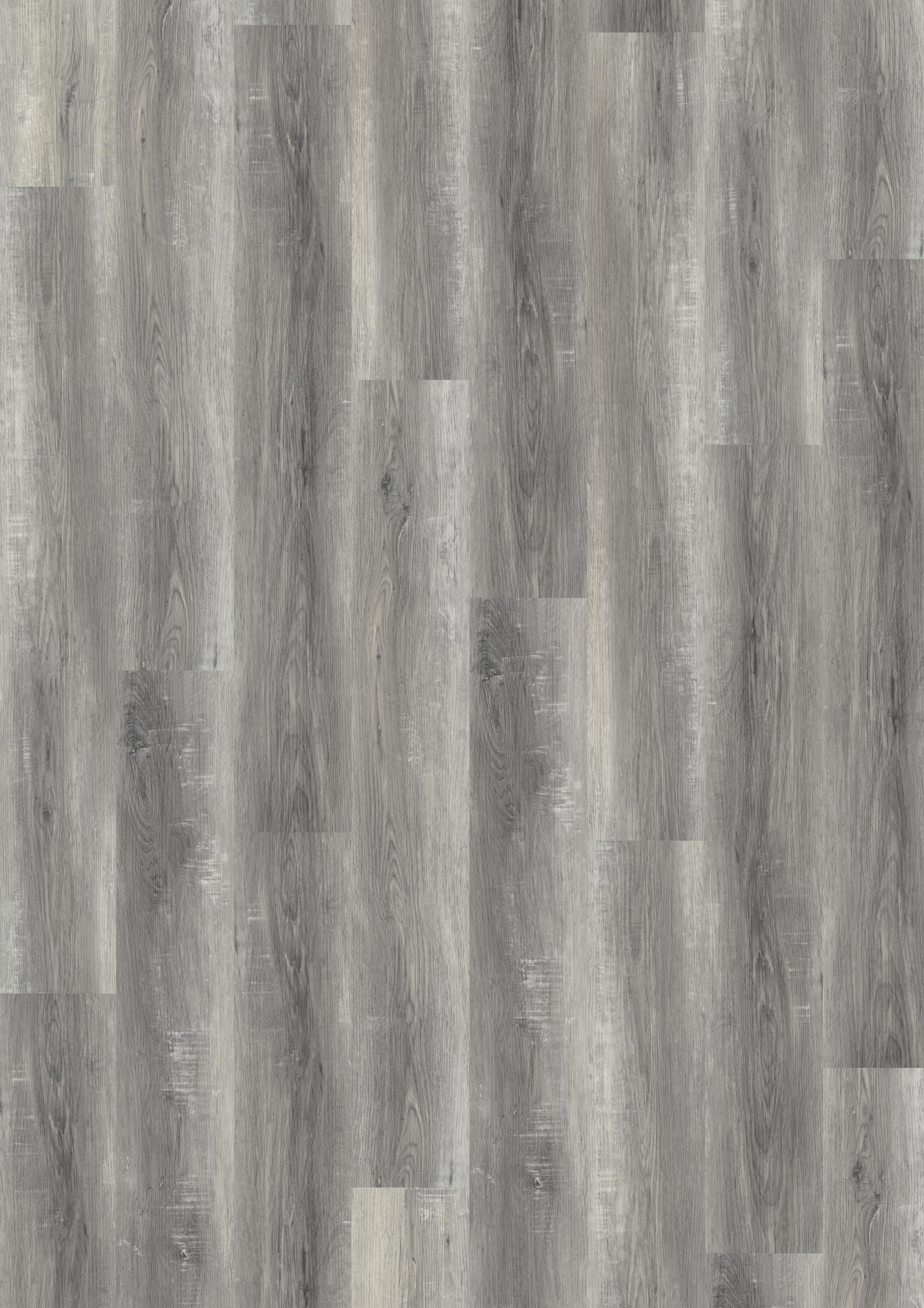 TWG Vinylboden Titan One 030 Rigid - Click Pure Oak Grey