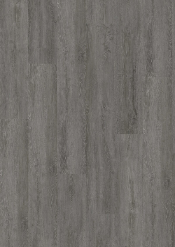TWG Vinylboden Titan One 030 XL Gluedown Infinity Oak Dark Grey