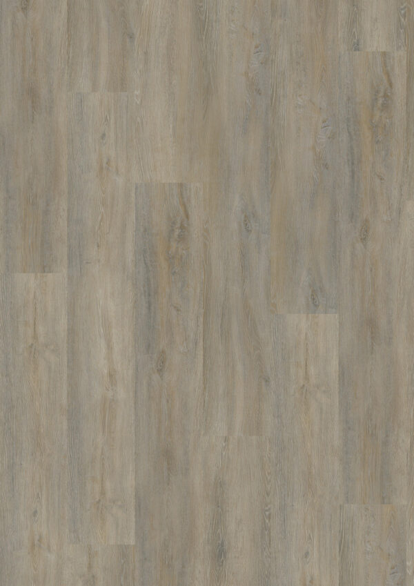 TWG Vinylboden Titan One 030 XL Gluedown Infinity Oak Natural
