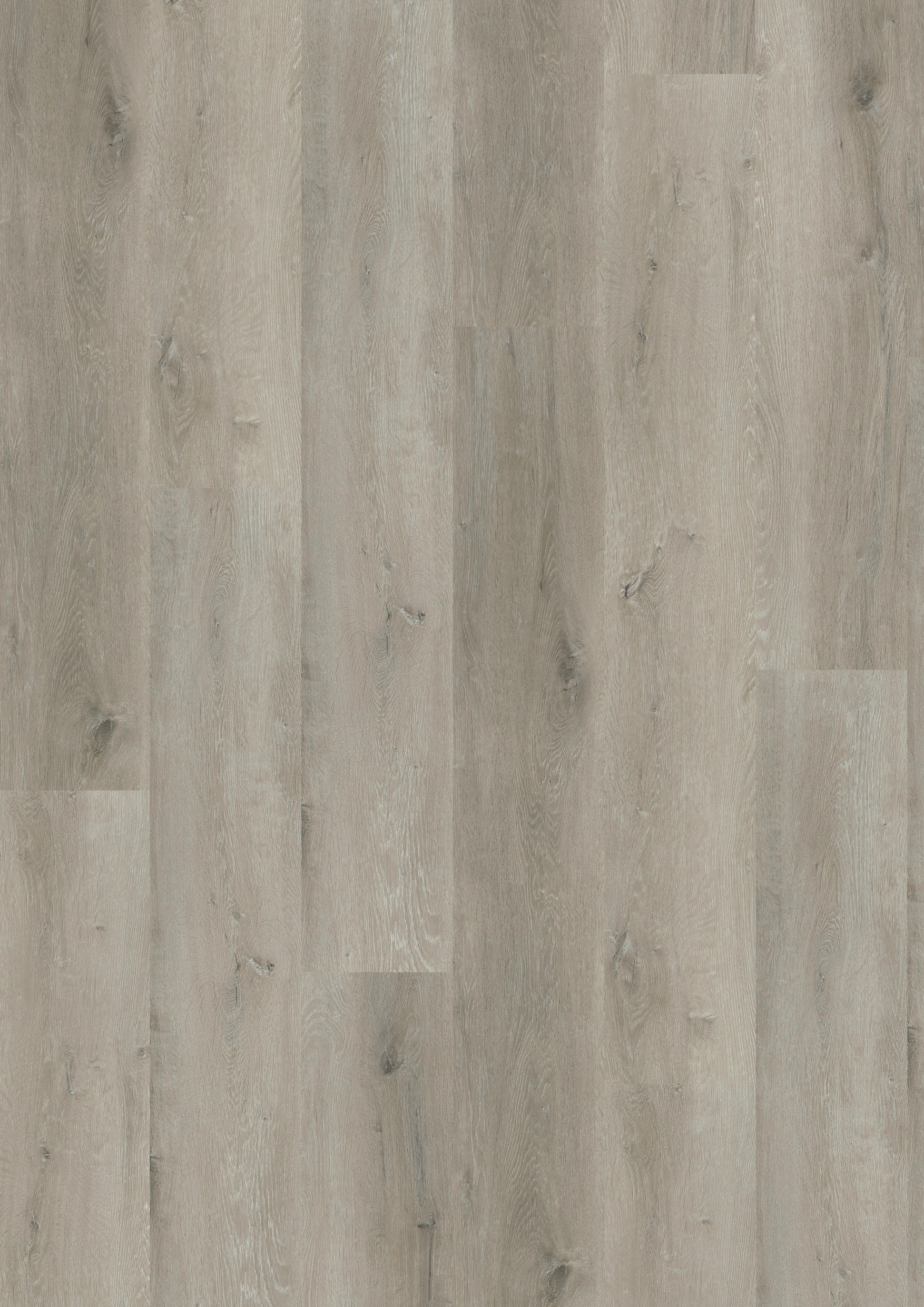 TWG Vinylboden Titan One 030 XL Gluedown Prestige Oak Greige