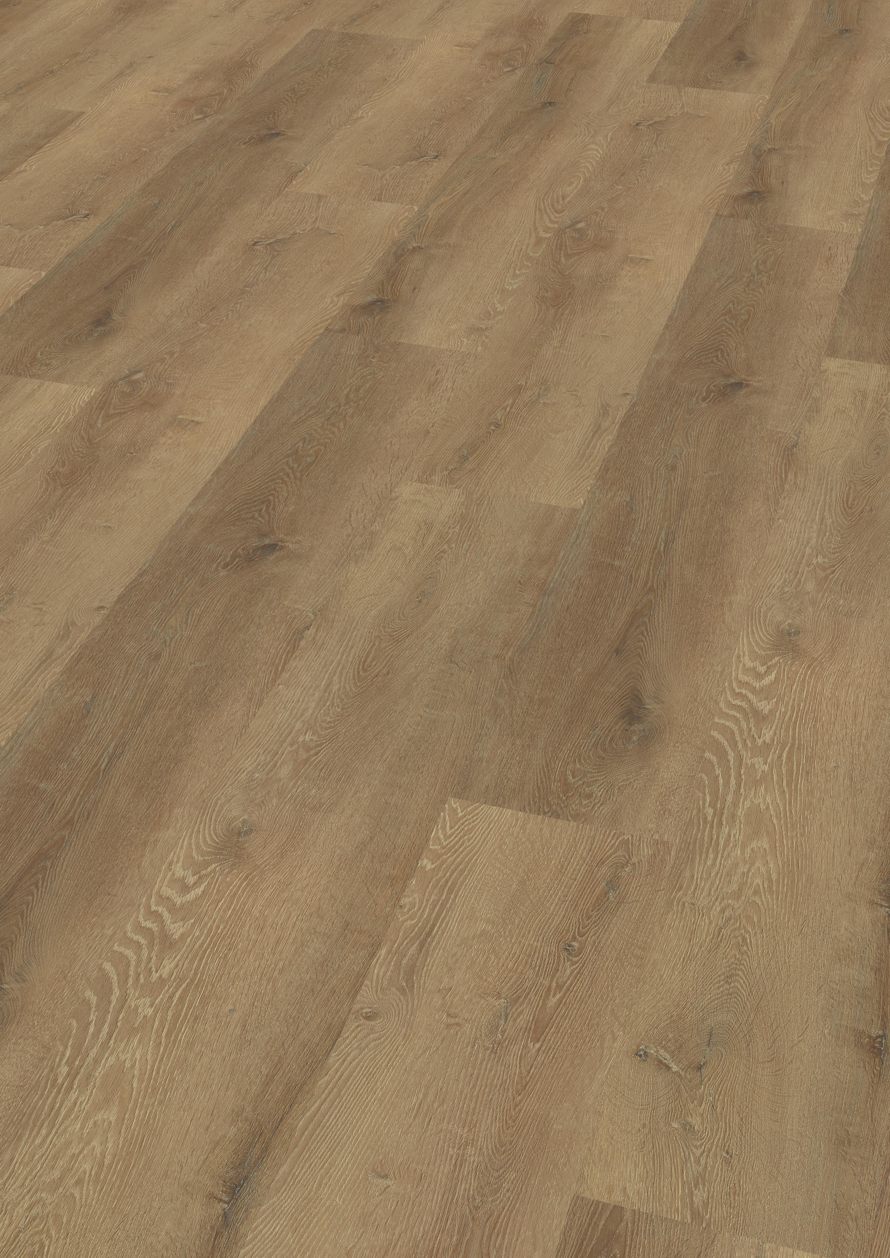 TWG Vinylboden Titan One 030 XL Gluedown Prestige Oak Honey – Bild 2