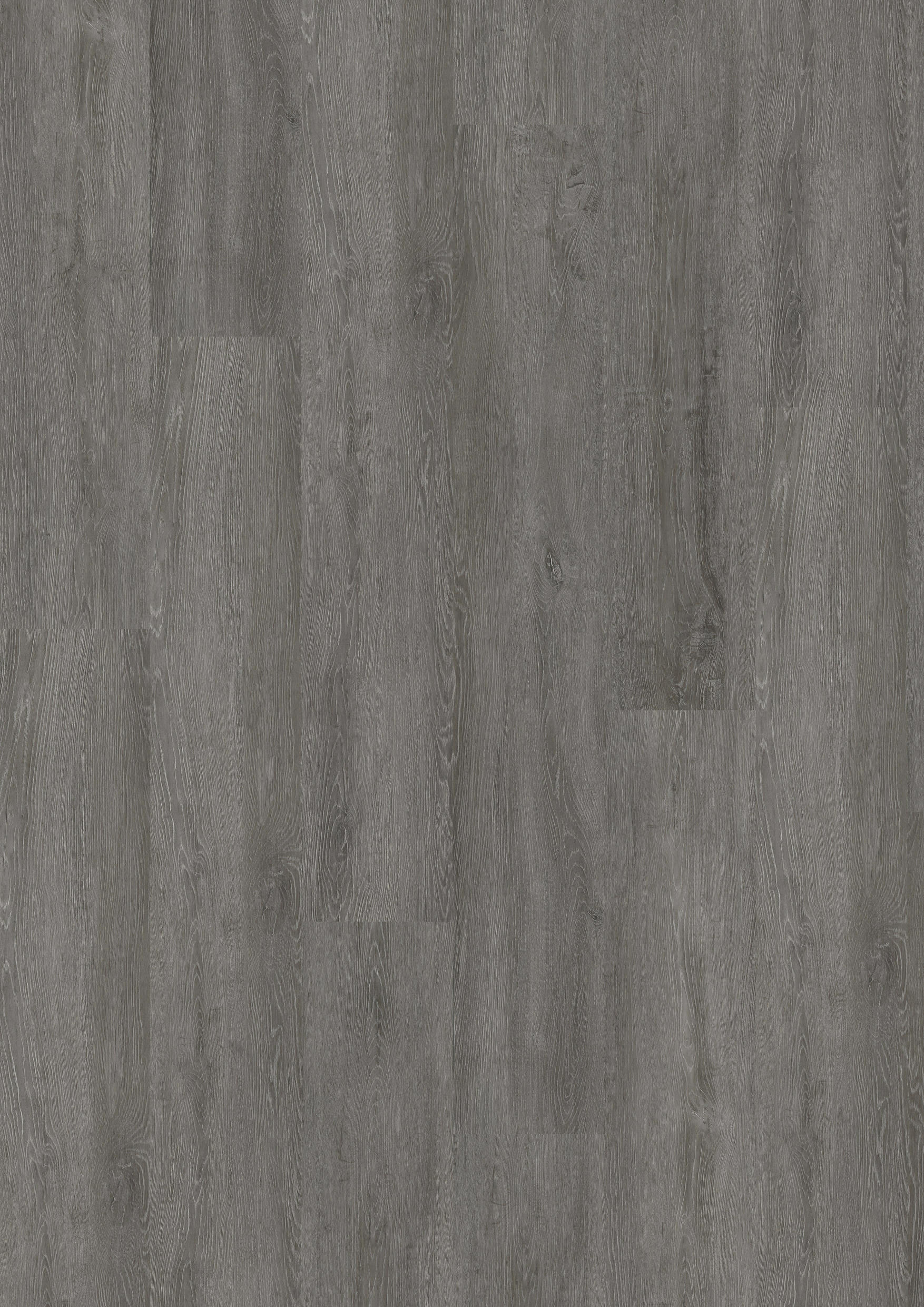 TWG Vinylboden Titan One 030 XL Rigid - Click Infinity Oak Dark Grey
