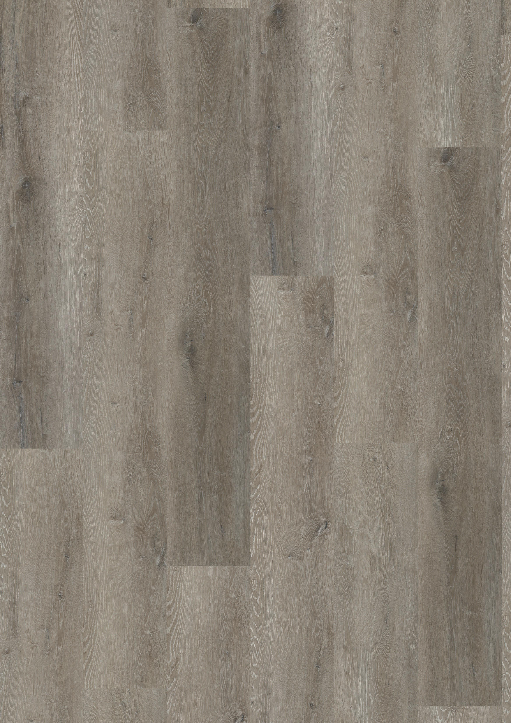 TWG Vinylboden Titan One 030 XL Rigid - Click Prestige Oak Brown