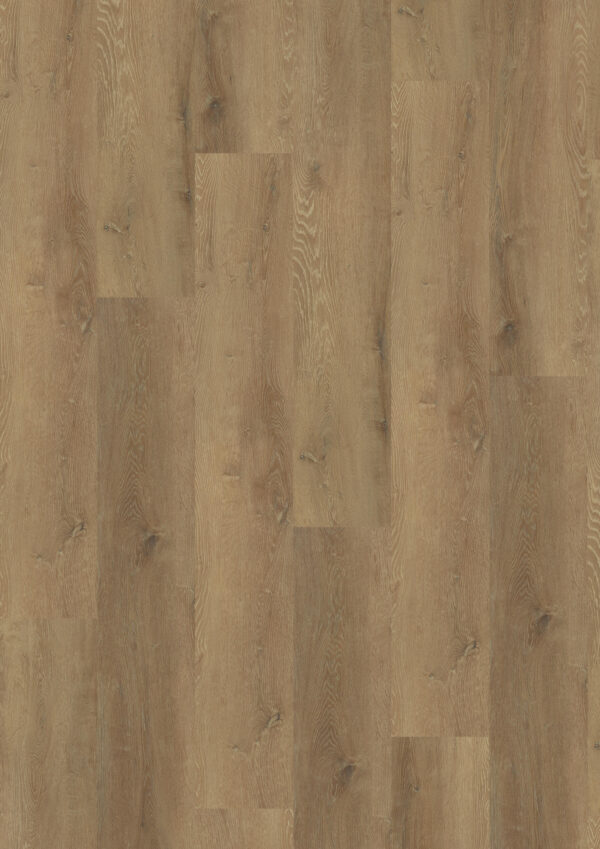 TWG Vinylboden Titan One 030 XL Rigid - Click Prestige Oak Honey