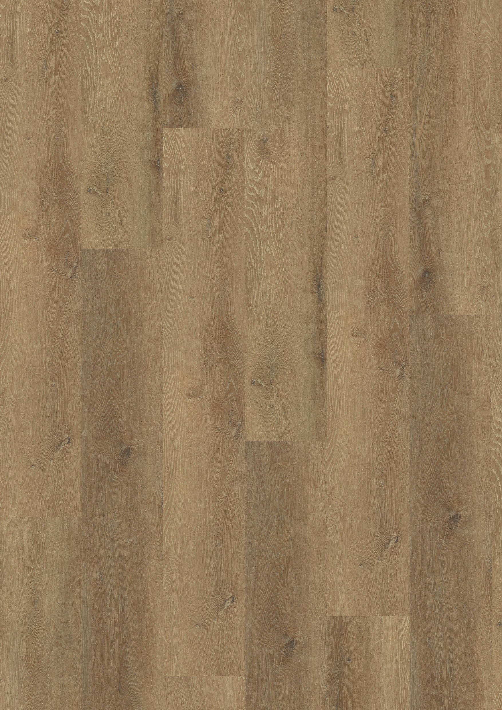 TWG Vinylboden Titan One 030 XL Rigid - Click Prestige Oak Honey