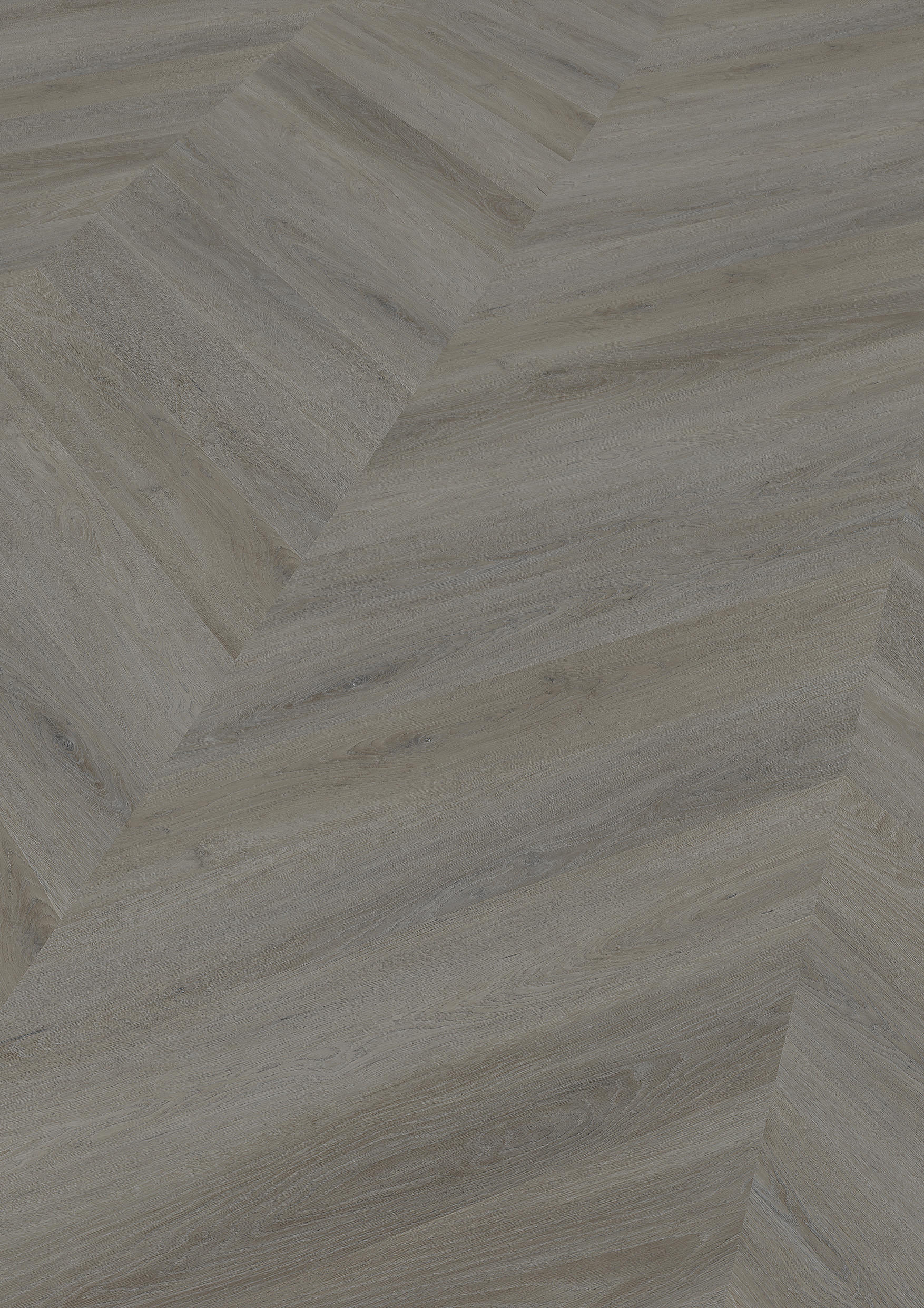 TWG Vinylboden Titan One 055 Chevron Gluedown English Oak Taupe – Bild 2