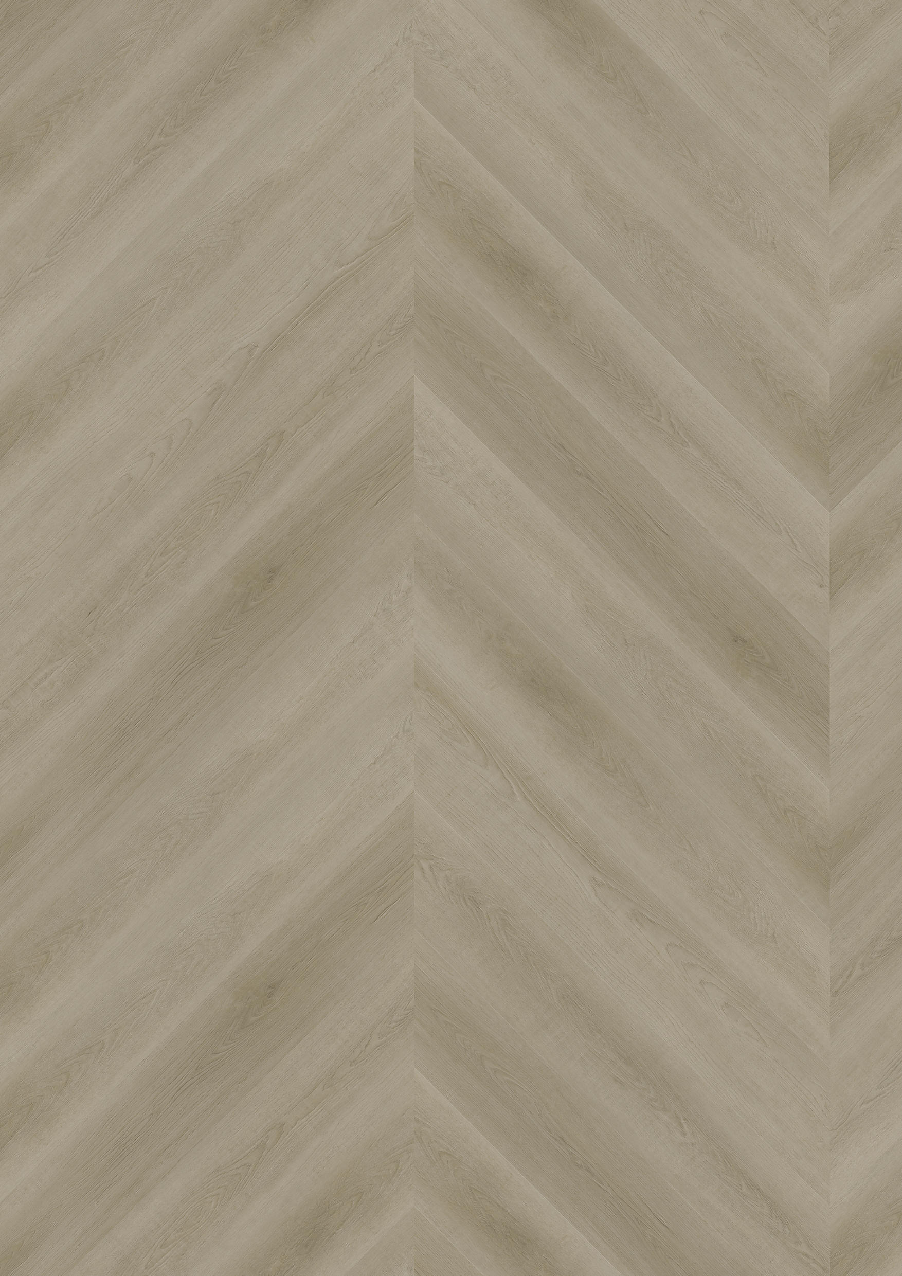 TWG Vinylboden Titan One 055 Chevron Gluedown Raw Oak Light Natural