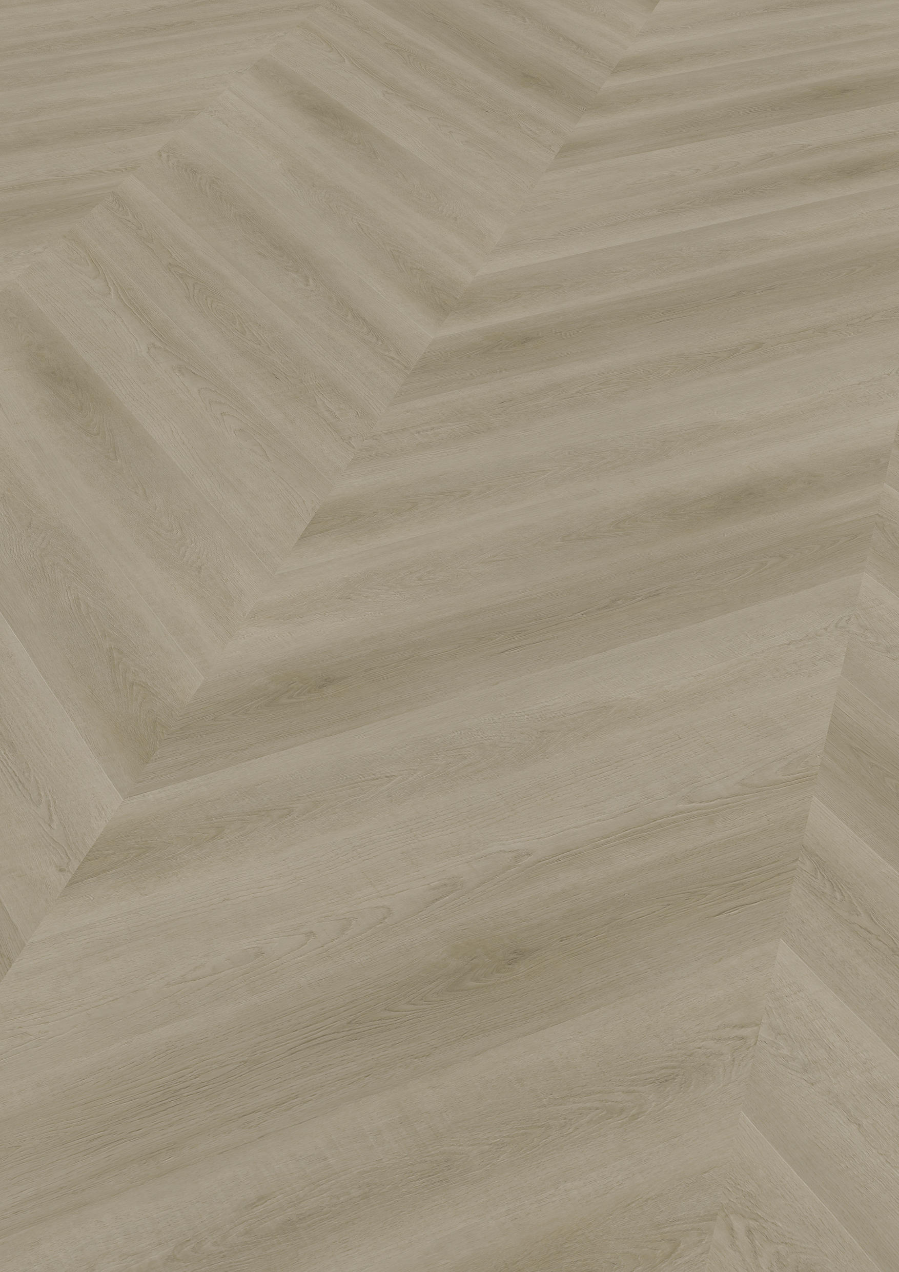 TWG Vinylboden Titan One 055 Chevron Gluedown Raw Oak Light Natural – Bild 2