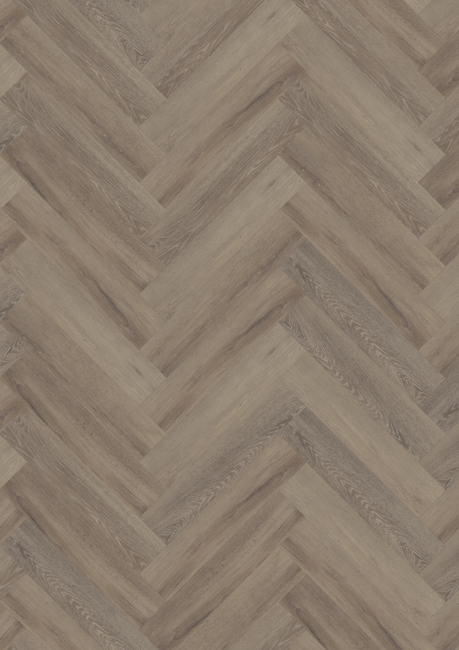 TWG Vinylboden Titan One 055 Fischgrät Gluedown Cerused Oak Dark Natural