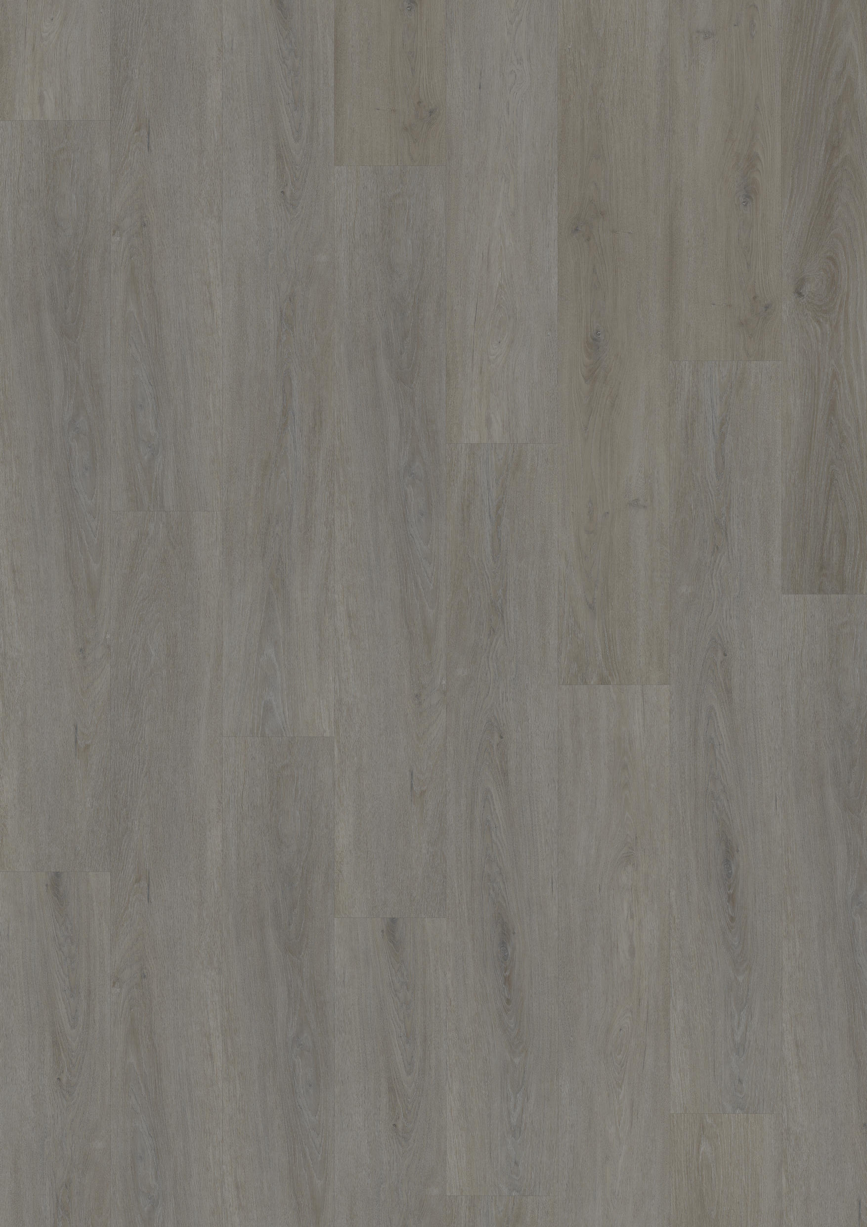 TWG Vinylboden Titan One 055 Gluedown English Oak Taupe