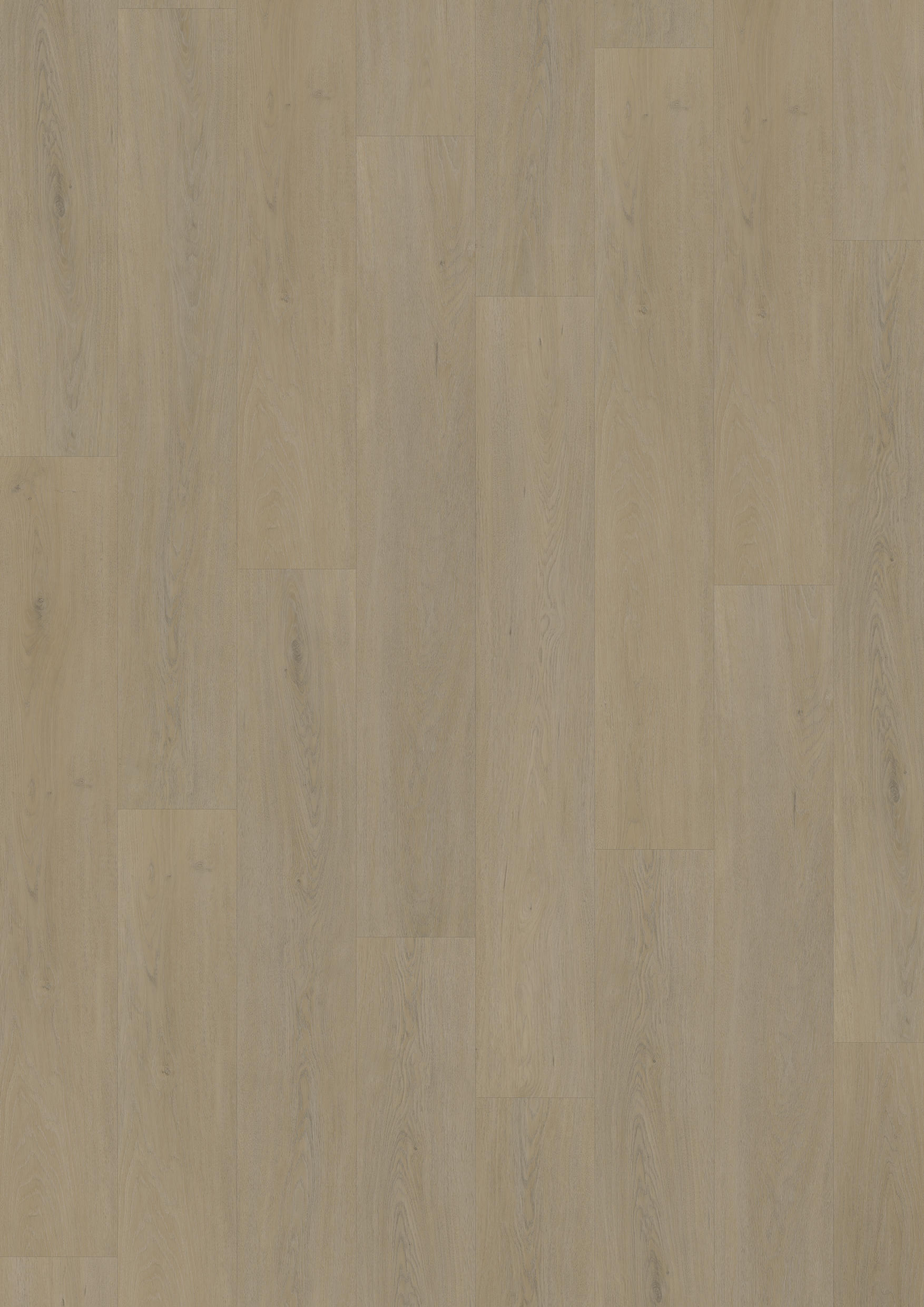 TWG Vinylboden Titan One 055 Gluedown English Oak Warm Natural