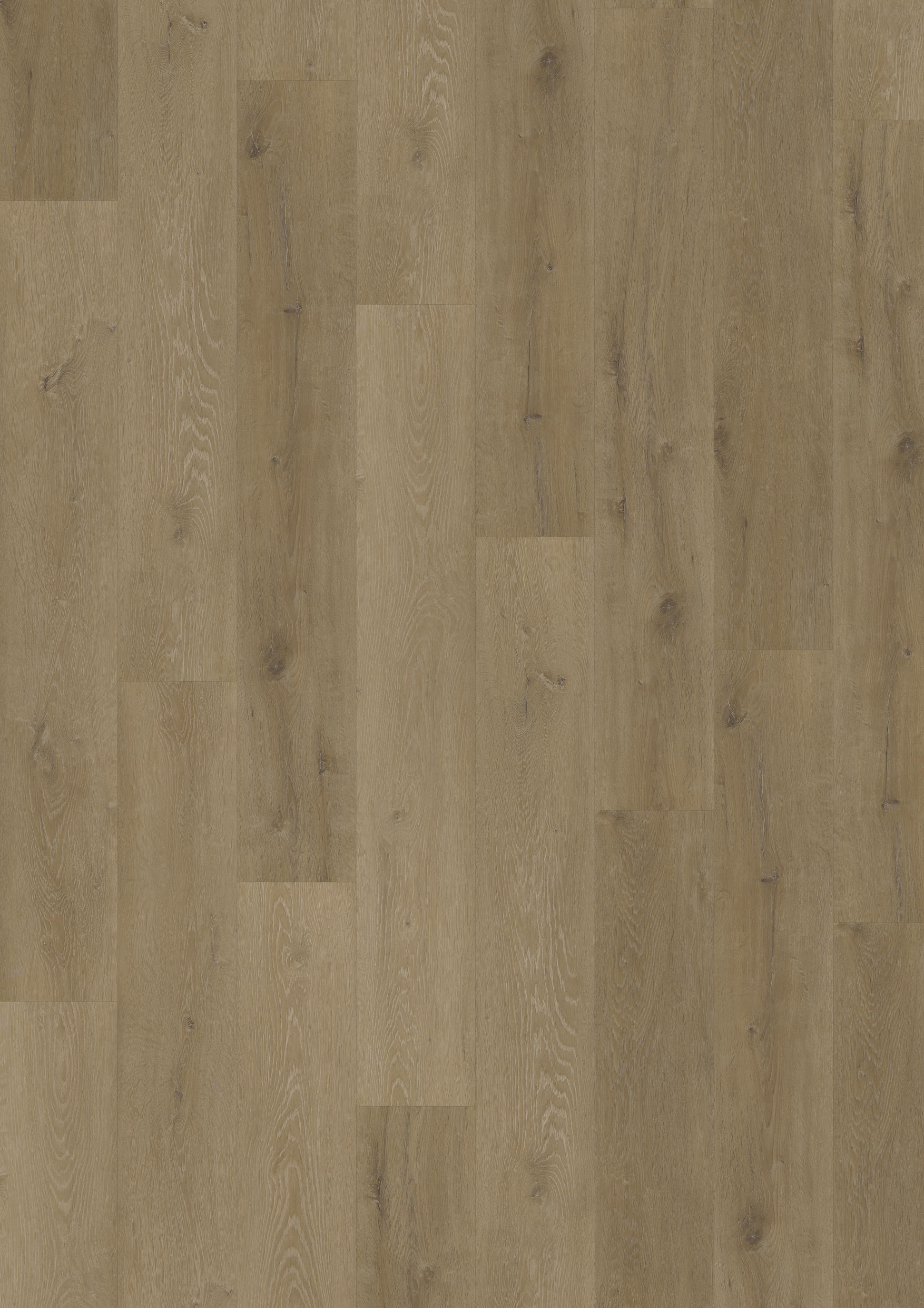 TWG Vinylboden Titan One 055 Gluedown Prestige Oak Light Amber