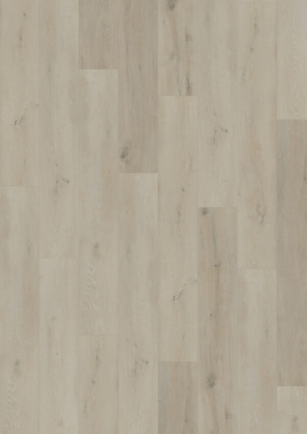 TWG Vinylboden Titan One 055 Gluedown Prestige Oak White