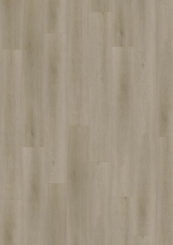 TWG Vinylboden Titan One 055 Gluedown Raw Oak Light Natural