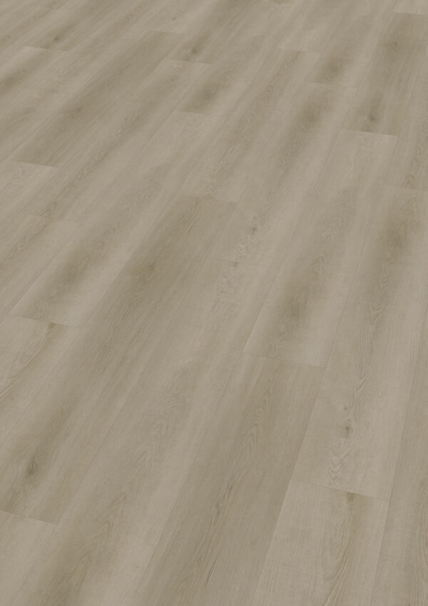TWG Vinylboden Titan One 055 Gluedown Raw Oak Light Natural – Bild 2