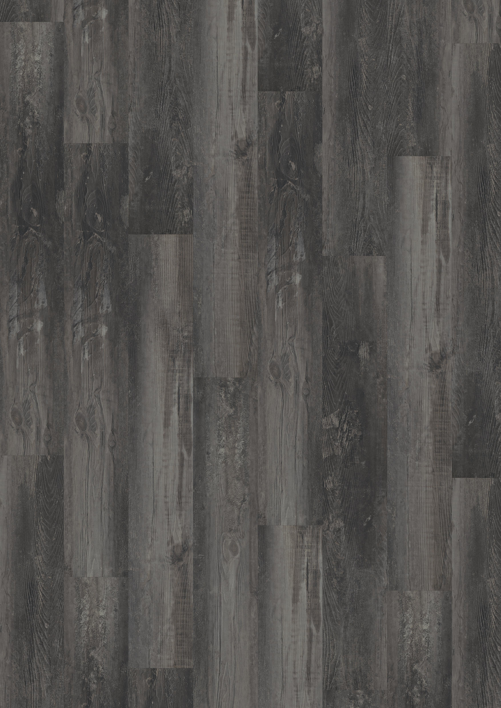 TWG Vinylboden Titan One 055 Gluedown Smoked Pine Black