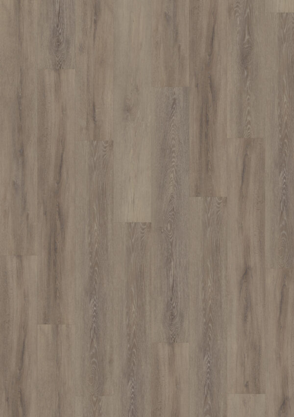 TWG Vinylboden Titan One 055 Rigid - Click Cerused Oak Dark Natural