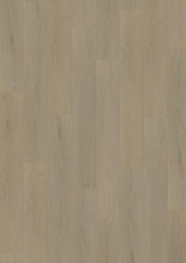 TWG Vinylboden Titan One 055 Rigid - Click English Oak Warm Natural