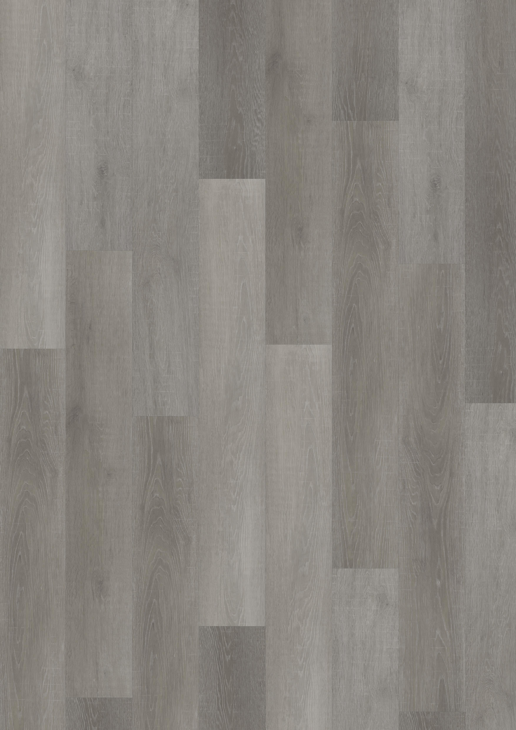 TWG Vinylboden Titan One 055 Rigid - Click Flemish Oak Grey
