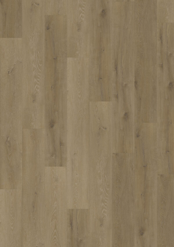 TWG Vinylboden Titan One 055 Rigid - Click Prestige Oak Light Amber