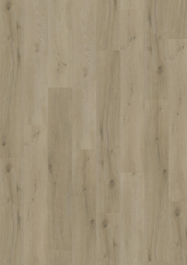 TWG Vinylboden Titan One 055 Rigid - Click Prestige Oak Natural