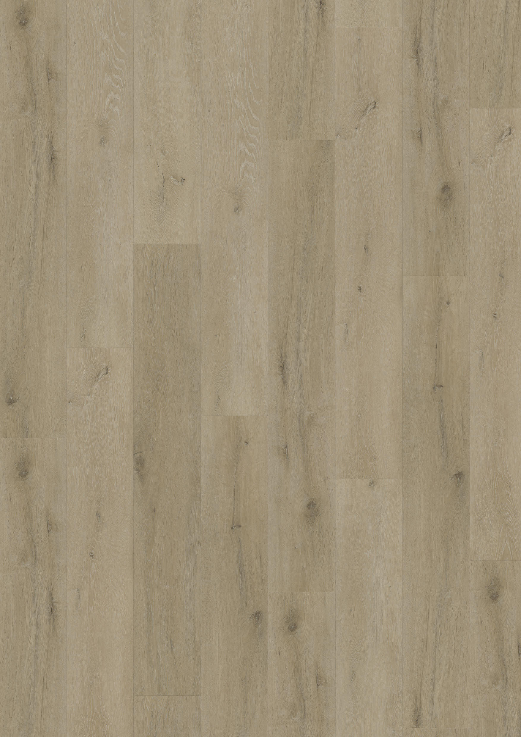 TWG Vinylboden Titan One 055 Rigid - Click Prestige Oak Natural